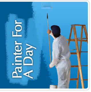 Painter For A Day